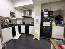 Fortune Park (D19), Condominium #553783301